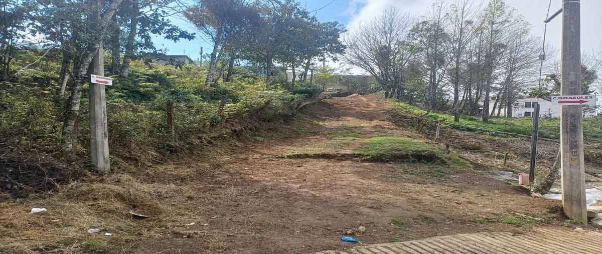 Foto de terreno habitacional en venta en axuluapan , huastequita, tlanchinol, hidalgo, 0 No. 05