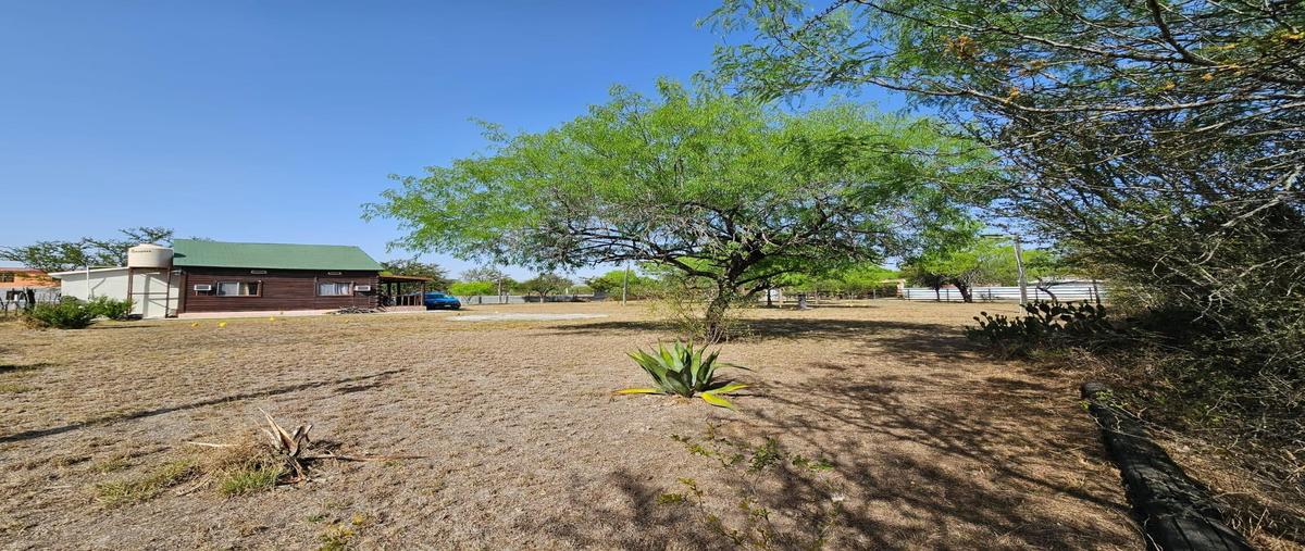 Foto de casa en venta en  , ayancual, los ramones, nuevo león, 0 No. 04