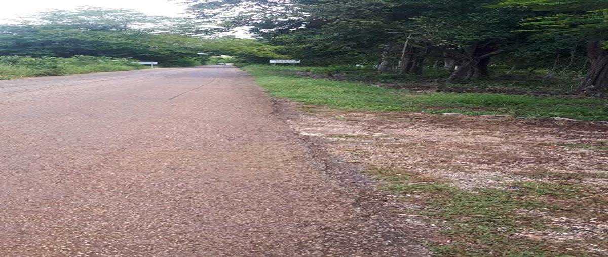 Foto de terreno habitacional en venta en  , ayim, tzucacab, yucatán, 27686430 No. 03