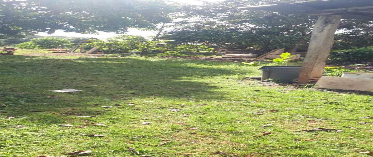Foto de terreno habitacional en venta en  , ayim, tzucacab, yucatán, 27686430 No. 04
