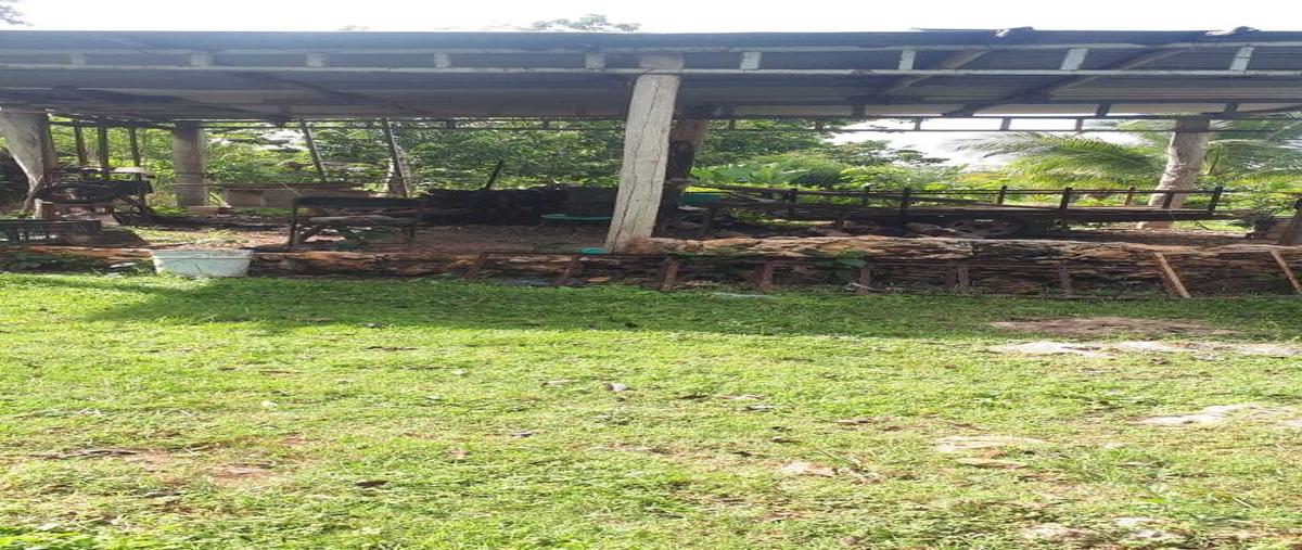 Foto de terreno habitacional en venta en  , ayim, tzucacab, yucatán, 27686430 No. 05