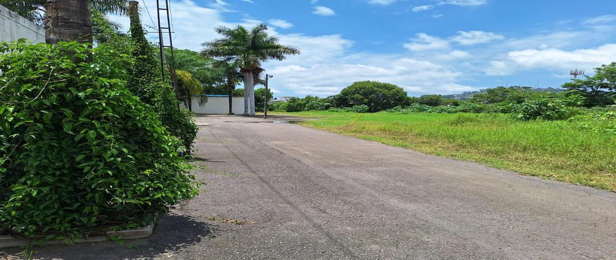 Foto de terreno habitacional en venta en azalea , tío baltazar, tepic, nayarit, 0 No. 04