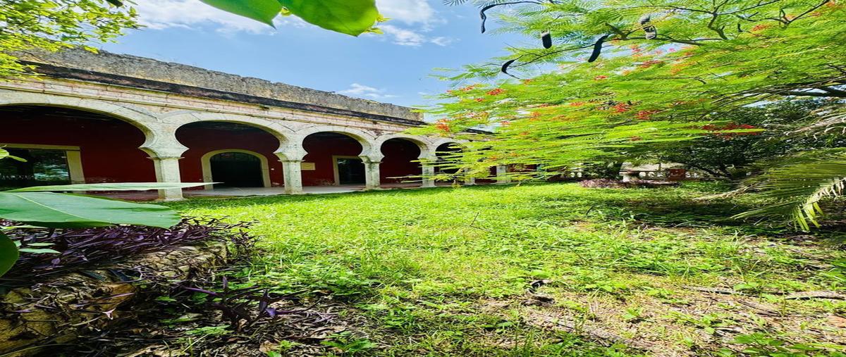 Foto de rancho en , azcorra, mérida, yucatán, 29461416 foto 03 Foto de rancho en venta en , azcorra, mérida, yucatán, 29461416 No. 03