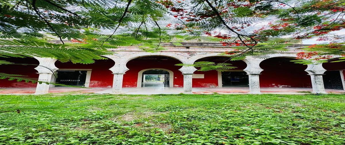 Foto de rancho en venta en  , azcorra, mérida, yucatán, 0 No. 05