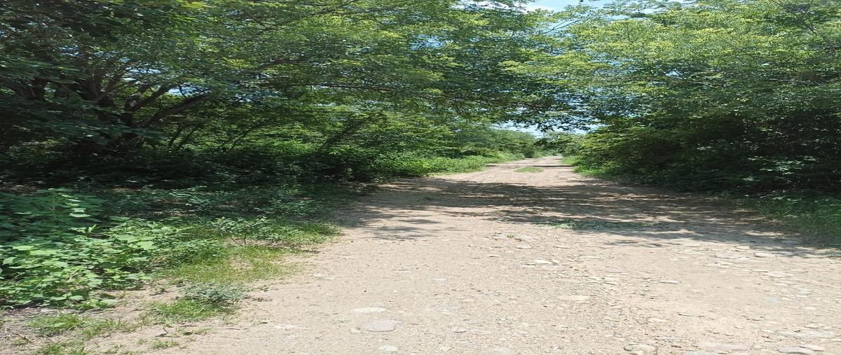 Foto de rancho en venta en azteca , azteca, arriaga, chiapas, 0 No. 03