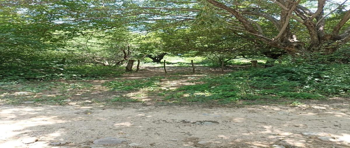 Foto de rancho en venta en azteca , azteca, arriaga, chiapas, 0 No. 03