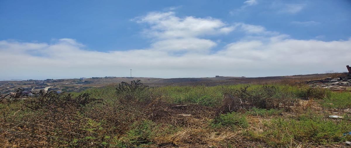 Foto de terreno habitacional en venta en  , aztlán, playas de rosarito, baja california, 31124131 No. 03