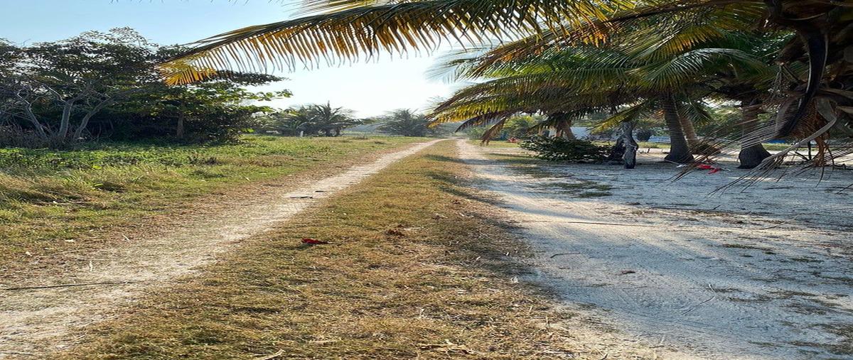 Foto de local en venta en azul , club residencial azul, carmen, campeche, 0 No. 04