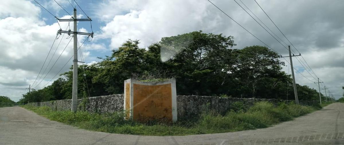 Foto de terreno habitacional en venta en  , baca, baca, yucatán, 23350747 No. 04