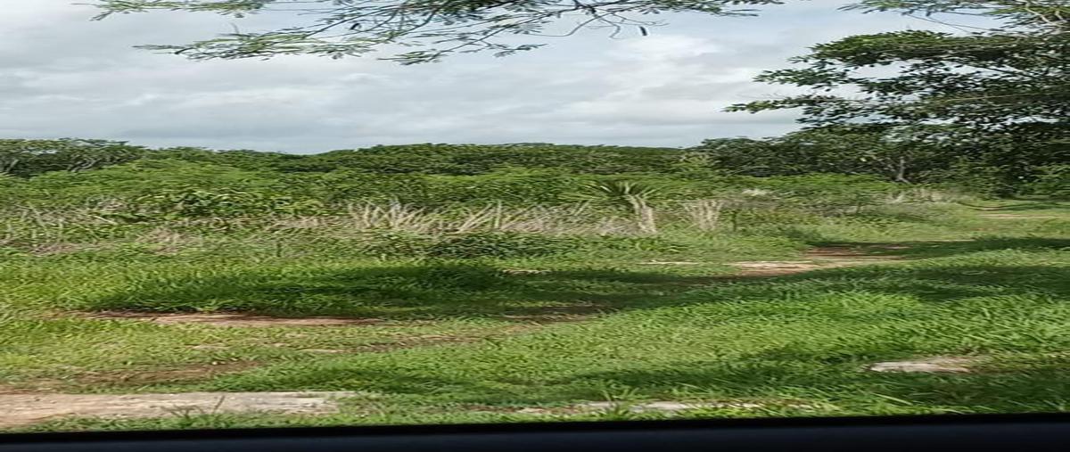 Foto de terreno habitacional en venta en  , baca, baca, yucatán, 0 No. 05
