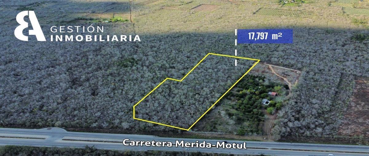 Foto de terreno habitacional en venta en  , baca, baca, yucatán, 26222503 No. 03