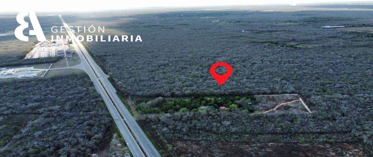 Foto de terreno habitacional en venta en  , baca, baca, yucatán, 26222503 No. 05