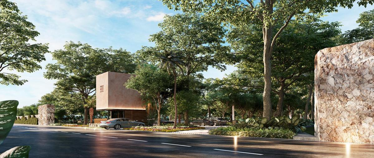 Foto de terreno habitacional en venta en  , baca, baca, yucatán, 0 No. 03