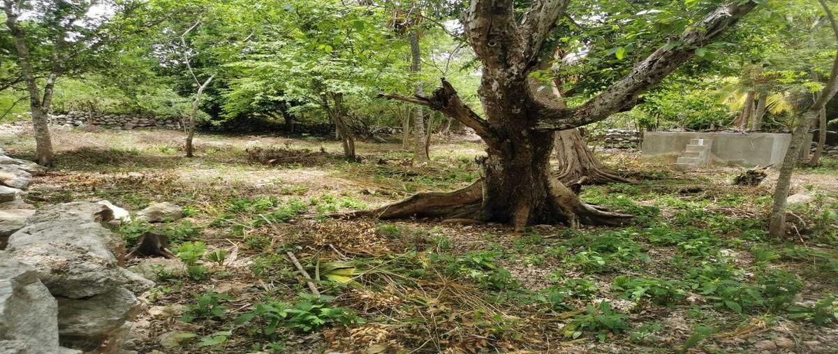 Foto de terreno habitacional en , baca, baca, yucatán, 0 foto 02 Foto de terreno habitacional en venta en , baca, baca, yucatán, 0 No. 02