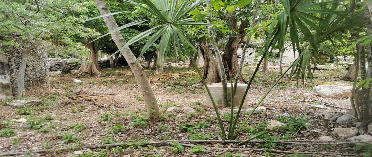 Foto de terreno habitacional en , baca, baca, yucatán, 0 foto 03 Foto de terreno habitacional en venta en , baca, baca, yucatán, 0 No. 03