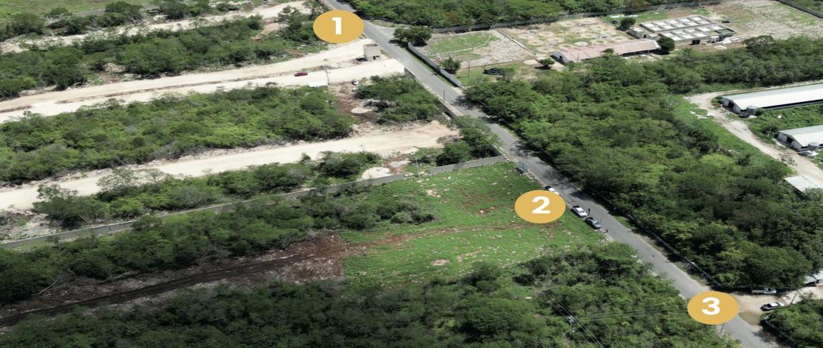 Foto de terreno habitacional en venta en  , baca, baca, yucatán, 30711151 No. 04
