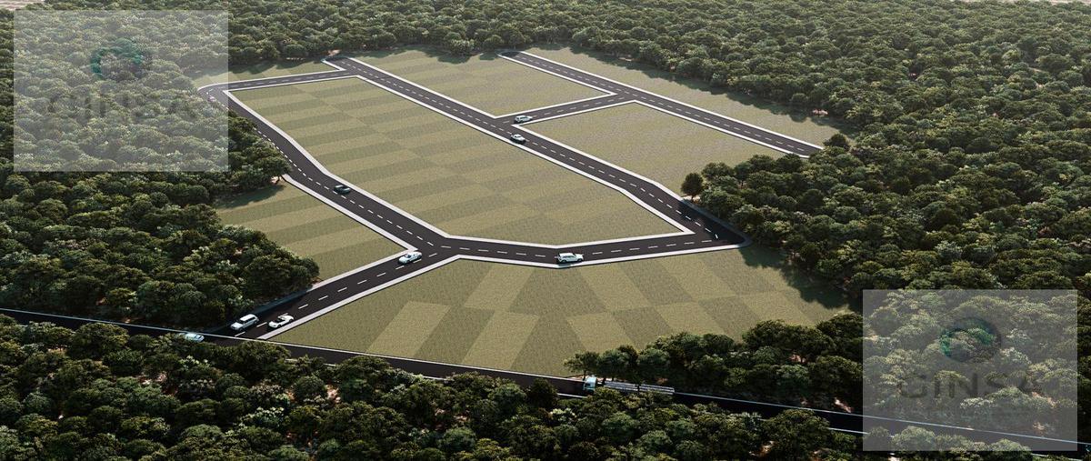 Foto de terreno habitacional en venta en  , baca, baca, yucatán, 0 No. 04