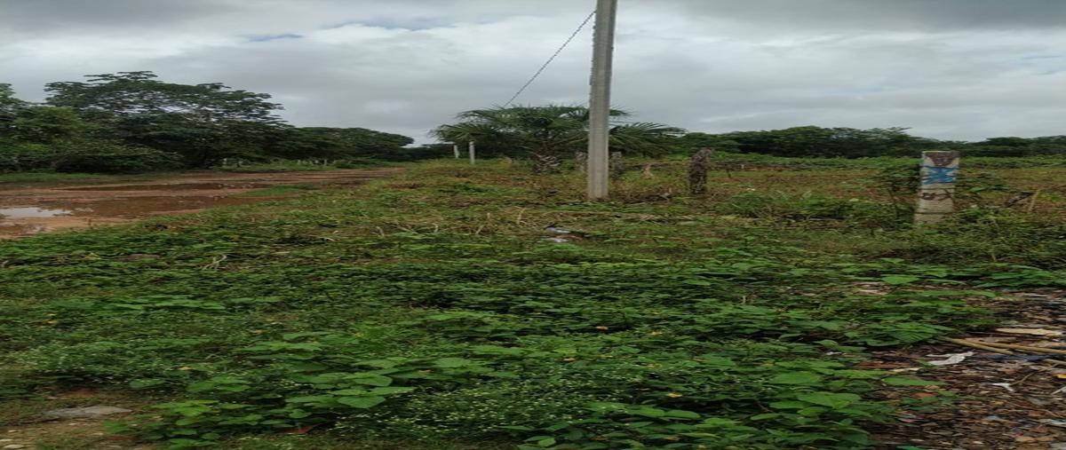 Foto de terreno habitacional en venta en  , bacalar centro, bacalar, quintana roo, 27472764 No. 05