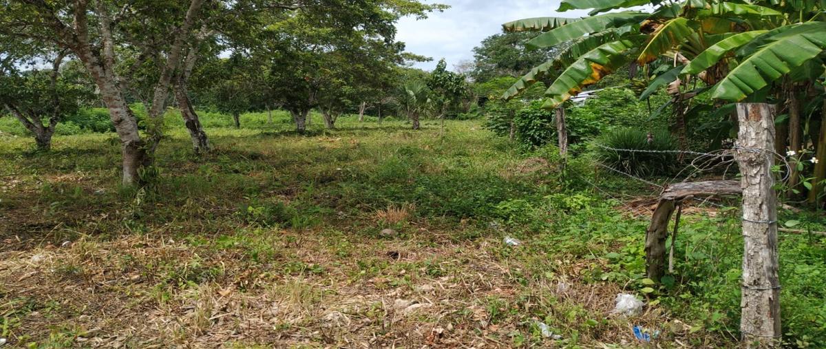 Foto de terreno habitacional en , bacalar centro, bacalar, quintana roo, 27472768 foto 01 Foto de terreno habitacional en venta en , bacalar centro, bacalar, quintana roo, 27472768 No. 01