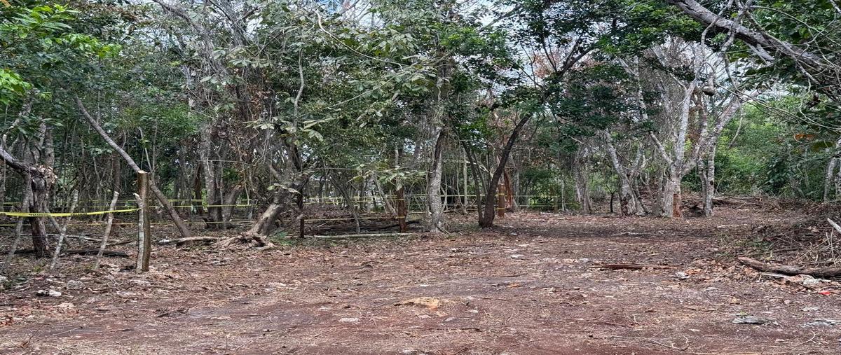 Foto de terreno habitacional en , bacalar centro, bacalar, quintana roo, 0 foto 01 Foto de terreno habitacional en venta en , bacalar centro, bacalar, quintana roo, 0 No. 01