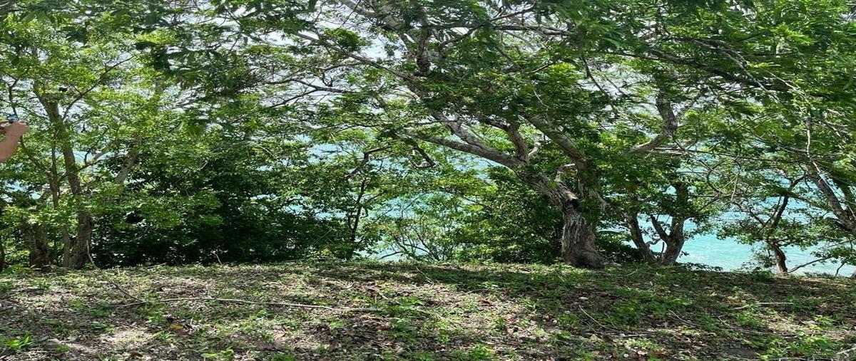 Foto de terreno habitacional en , bacalar dos, bacalar, quintana roo, 26785558 foto 05 Foto de terreno habitacional en venta en , bacalar dos, bacalar, quintana roo, 26785558 No. 05