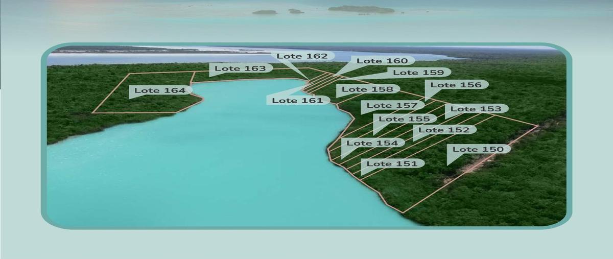 Foto de terreno habitacional en , bacalar dos, bacalar, quintana roo, 28450880 foto 02 Foto de terreno habitacional en venta en , bacalar dos, bacalar, quintana roo, 28450880 No. 02