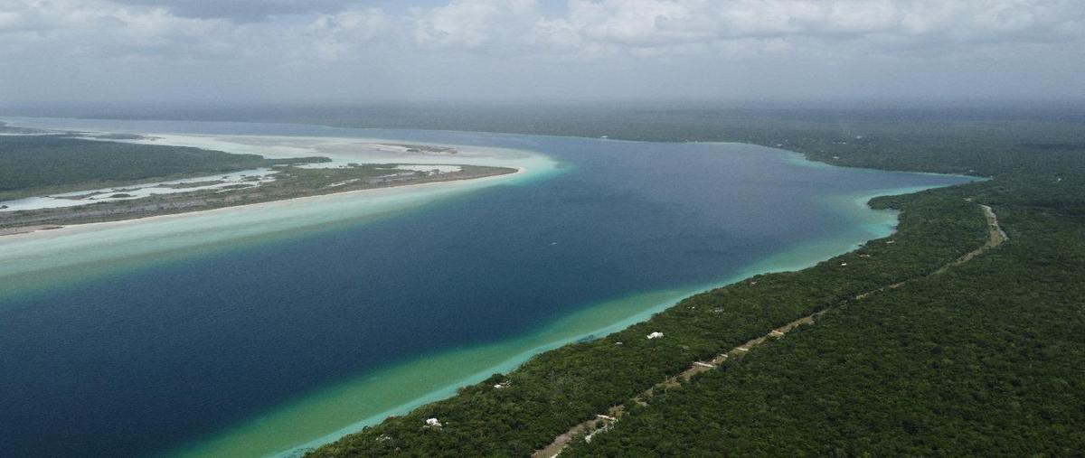 Foto de terreno habitacional en , bacalar dos, bacalar, quintana roo, 28450880 foto 04 Foto de terreno habitacional en venta en , bacalar dos, bacalar, quintana roo, 28450880 No. 04