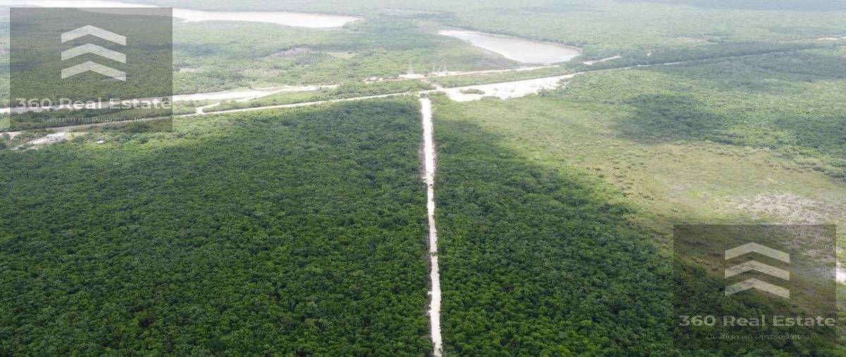 Foto de terreno habitacional en venta en  , bacalar dos, bacalar, quintana roo, 28450880 No. 05