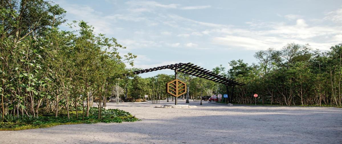 Foto de terreno habitacional en venta en  , bacalar dos, bacalar, quintana roo, 0 No. 03