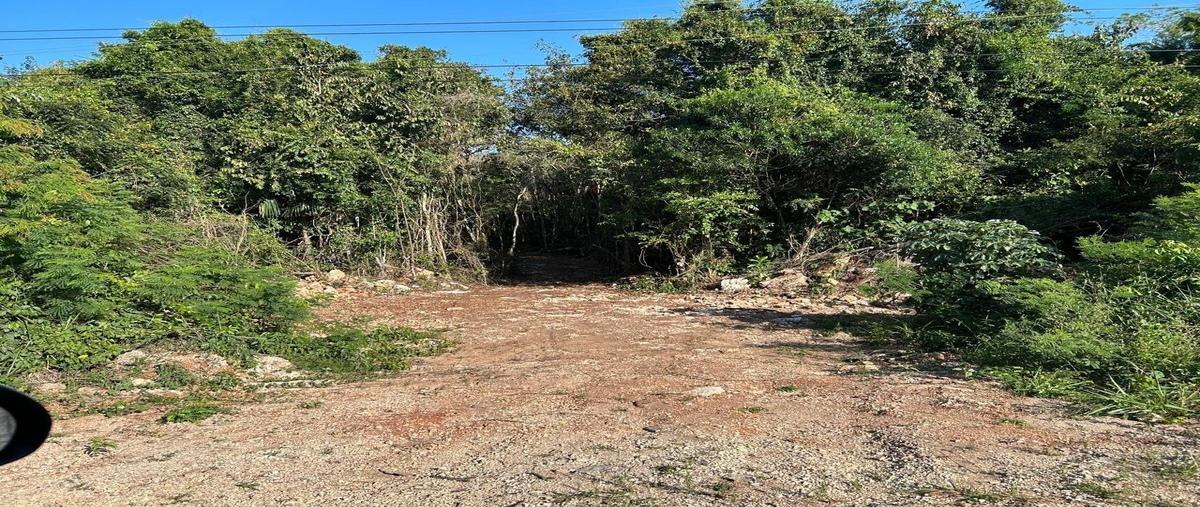 Foto de terreno habitacional en venta en  , bacalar dos, bacalar, quintana roo, 0 No. 05