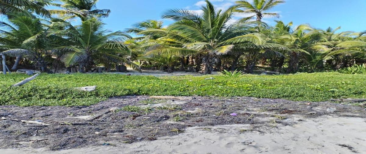 Foto de terreno habitacional en venta en  , bacalar dos, bacalar, quintana roo, 0 No. 03