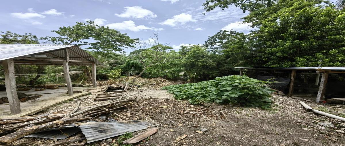 Foto de terreno habitacional en venta en  , bacalar dos, bacalar, quintana roo, 0 No. 05