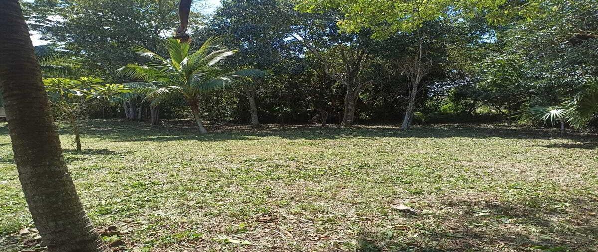 Foto de terreno habitacional en venta en  , bacalar dos, bacalar, quintana roo, 29771560 No. 05