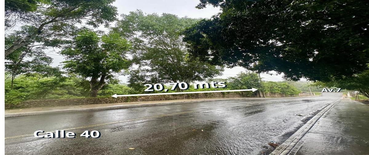 Foto de terreno habitacional en venta en  , bacalar dos, bacalar, quintana roo, 30238173 No. 04