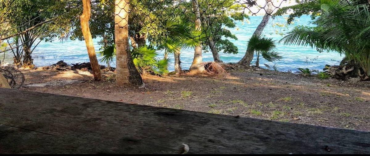 Foto de terreno habitacional en , bacalar dos, bacalar, quintana roo, 30491078 foto 01 Foto de terreno habitacional en venta en , bacalar dos, bacalar, quintana roo, 30491078 No. 01