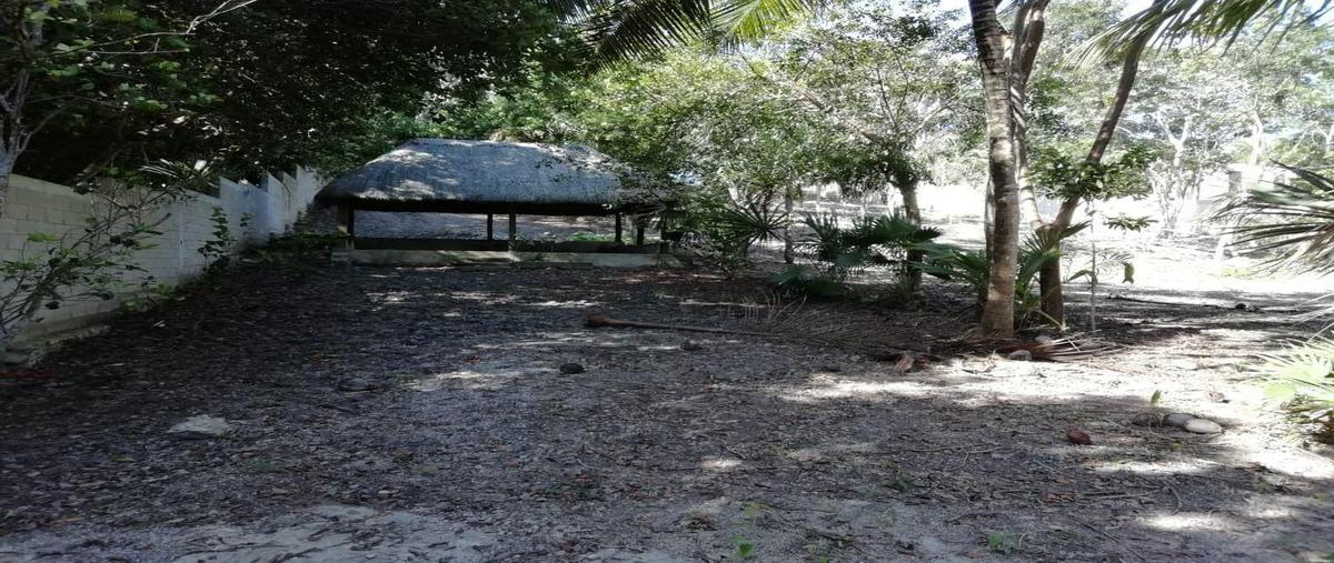 Foto de terreno habitacional en , bacalar dos, bacalar, quintana roo, 30491078 foto 03 Foto de terreno habitacional en venta en , bacalar dos, bacalar, quintana roo, 30491078 No. 03