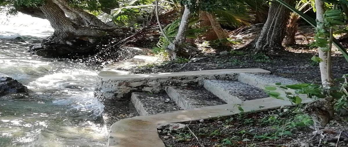 Foto de terreno habitacional en , bacalar dos, bacalar, quintana roo, 30491078 foto 04 Foto de terreno habitacional en venta en , bacalar dos, bacalar, quintana roo, 30491078 No. 04