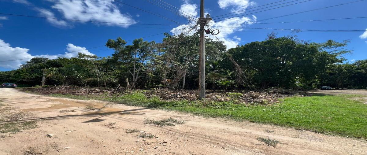 Foto de terreno habitacional en , bacalar dos, bacalar, quintana roo, 30515516 foto 03 Foto de terreno habitacional en venta en , bacalar dos, bacalar, quintana roo, 30515516 No. 03