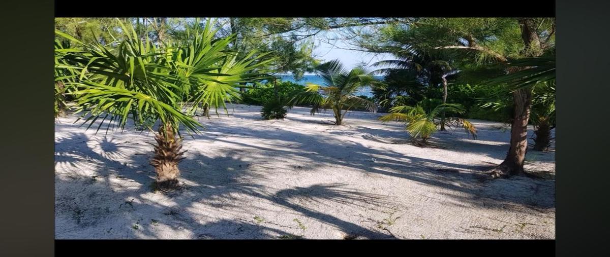 Foto de terreno habitacional en , bacalar dos, bacalar, quintana roo, 0 foto 04 Foto de terreno habitacional en venta en , bacalar dos, bacalar, quintana roo, 0 No. 04
