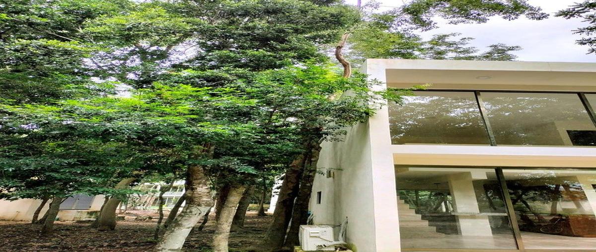 Foto de rancho en venta en  , bacalar dos, bacalar, quintana roo, 30681403 No. 03