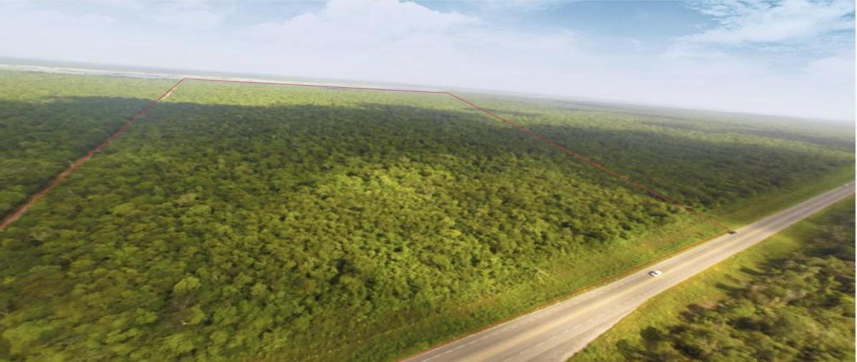 Foto de terreno habitacional en venta en  , bacalar dos, bacalar, quintana roo, 0 No. 03