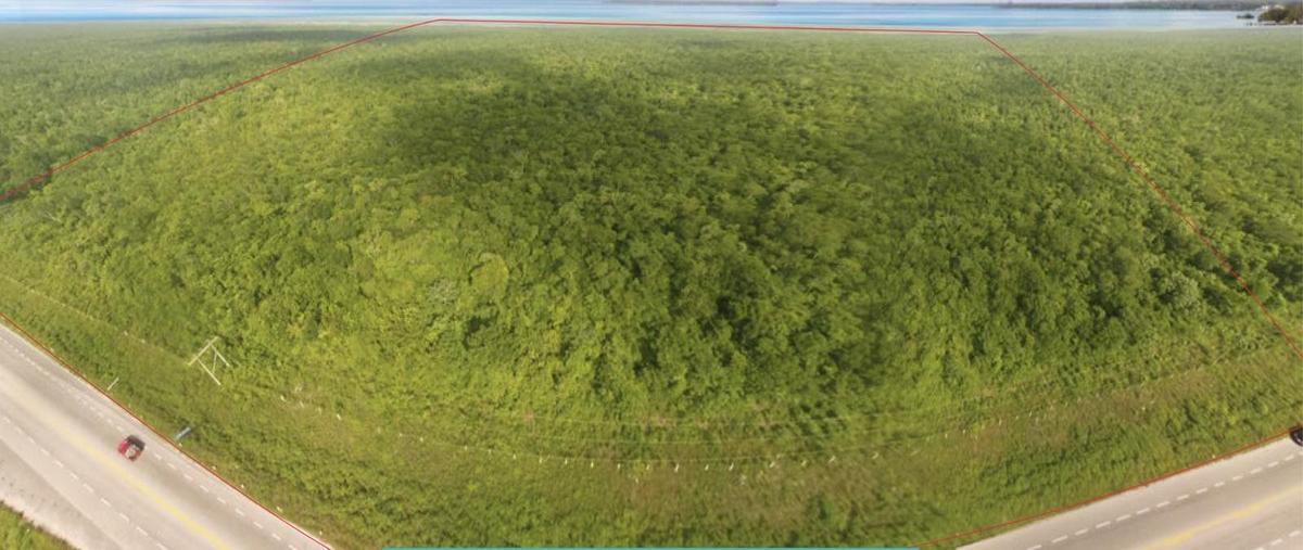 Foto de terreno habitacional en venta en  , bacalar dos, bacalar, quintana roo, 0 No. 04