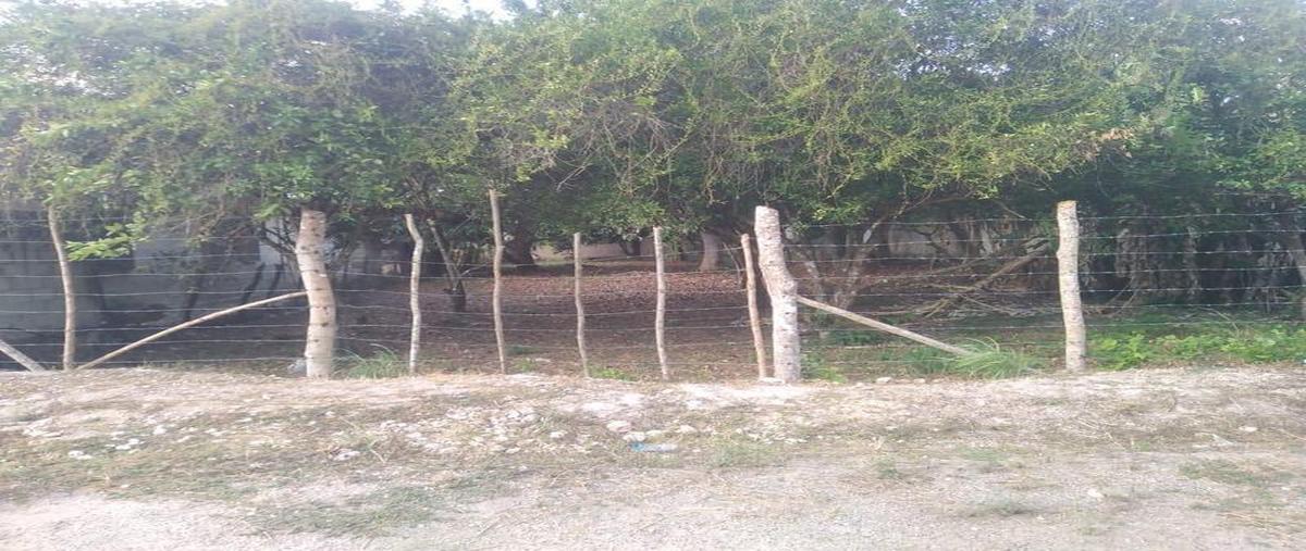 Foto de terreno habitacional en , bacalar dos, bacalar, quintana roo, 0 foto 05 Foto de terreno habitacional en venta en , bacalar dos, bacalar, quintana roo, 0 No. 05