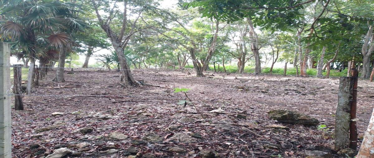 Foto de terreno habitacional en , bacalar dos, bacalar, quintana roo, 0 foto 02 Foto de terreno habitacional en venta en , bacalar dos, bacalar, quintana roo, 0 No. 02