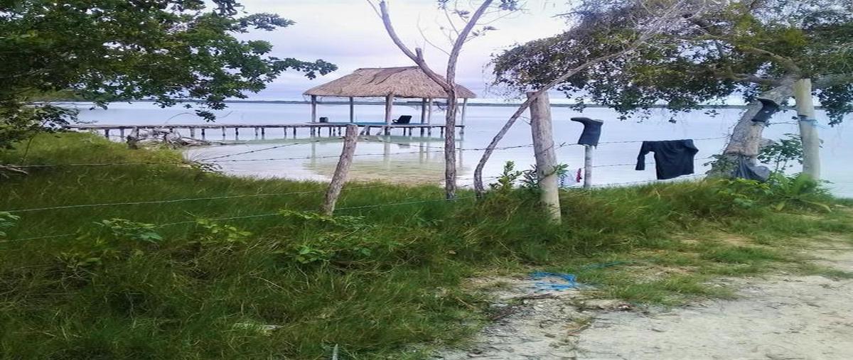 Foto de terreno habitacional en , bacalar dos, bacalar, quintana roo, 30889560 foto 03 Foto de terreno habitacional en venta en , bacalar dos, bacalar, quintana roo, 30889560 No. 03