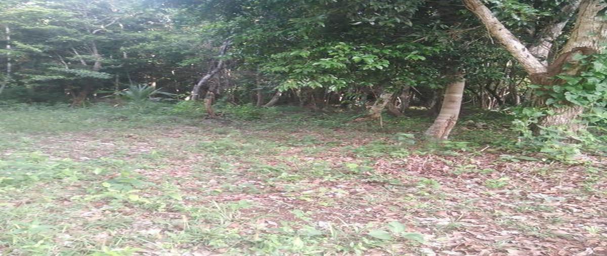 Foto de terreno habitacional en , bacalar dos, bacalar, quintana roo, 0 foto 01 Foto de terreno habitacional en venta en , bacalar dos, bacalar, quintana roo, 0 No. 01
