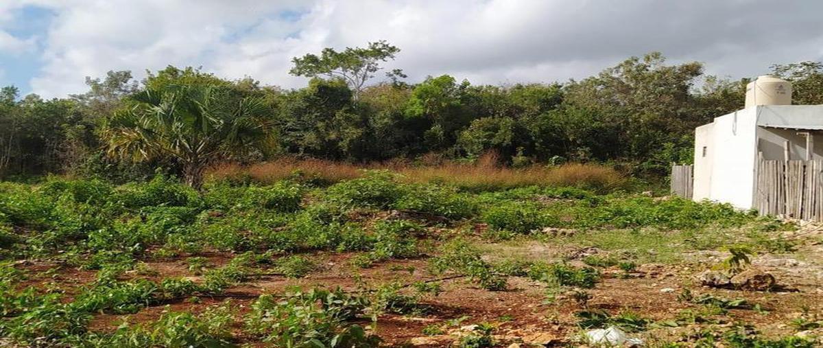 Foto de terreno habitacional en , bacalar dos, bacalar, quintana roo, 0 foto 03 Foto de terreno habitacional en venta en , bacalar dos, bacalar, quintana roo, 0 No. 03
