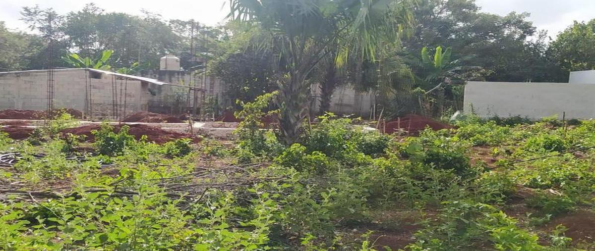 Foto de terreno habitacional en , bacalar dos, bacalar, quintana roo, 0 foto 04 Foto de terreno habitacional en venta en , bacalar dos, bacalar, quintana roo, 0 No. 04