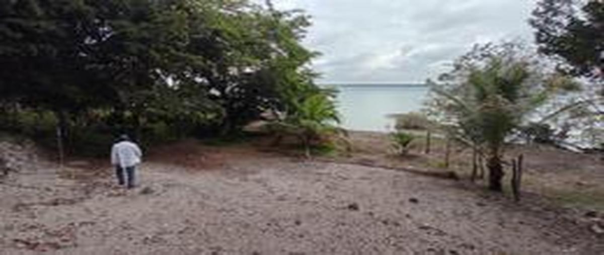Foto de terreno habitacional en , bacalar dos, bacalar, quintana roo, 30889568 foto 01 Foto de terreno habitacional en venta en , bacalar dos, bacalar, quintana roo, 30889568 No. 01