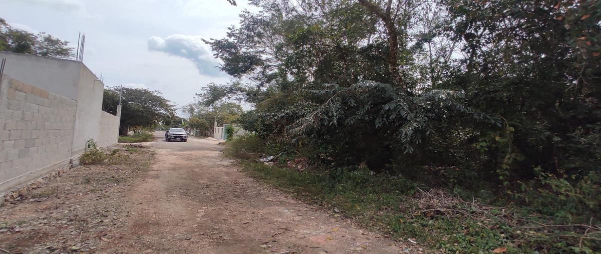 Foto de terreno habitacional en , bacalar dos, bacalar, quintana roo, 0 foto 03 Foto de terreno habitacional en venta en , bacalar dos, bacalar, quintana roo, 0 No. 03